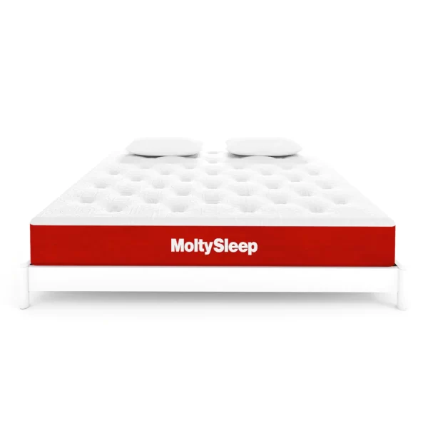 Molty Sleep